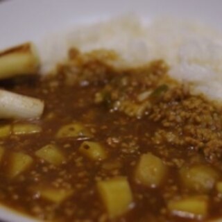 長ネギの和風カレー